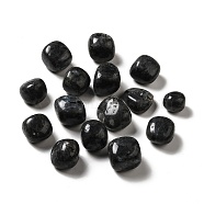Natural Larvikite Beads, Tumbled Stone, Healing Stones, for Reiki Healing Crystals Chakra Balancing, Vase Filler Gems, No Hole/Undrilled, Nuggets, 17~30x15~27x8~22mm(G-G979-A14)