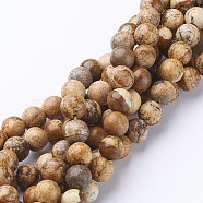 Gemstone Beads Strands, Natural Picture Jasper, Round, about 8mm in diameter, hole: about 1mm, 15~16 inch(X-GSR016)