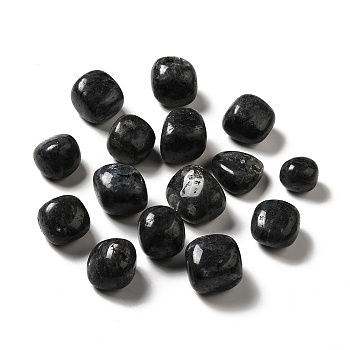 Natural Larvikite Beads, Tumbled Stone, Healing Stones, for Reiki Healing Crystals Chakra Balancing, Vase Filler Gems, No Hole/Undrilled, Nuggets, 17~30x15~27x8~22mm
