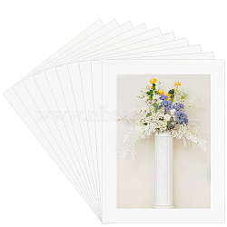 Rectangle Card Paper Picture Frames, Cardboard Photo Frames with Plastic Cover, for Wall Decoration, Floral White, 348x264x1mm(DIY-WH20062-28B)