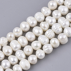 Natural Cultured Freshwater Pearl Beads Strands, Potato, Seashell Color, 7~9x6~7mm, Hole: 0.6mm, about 53~54pcs/Strand, 13.39 inch(34cm)(PEAR-Q015-032A-01)