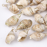Electroplate Spiral Shell Pendants, with Iron Findings, Light Gold, Peru, 16~30x8~14x7~12mm, Hole: 2mm(SSHEL-S262-18B)