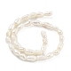 Natural Keshi Pearl Cultured Freshwater Pearl Beads Strands(PEAR-P062-25C)-3