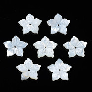 Natural White Shell Beads, Flower, 11.5x12x2mm, Hole: 0.8mm(SSHEL-N027-131A-01)