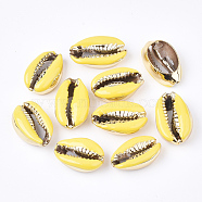 Electroplated Cowrie Shell Beads, with Enamel, No Hole/Undrilled, Golden, Yellow, 18~20x12~14x6~7.5mm(SSHEL-T008-11G-07)