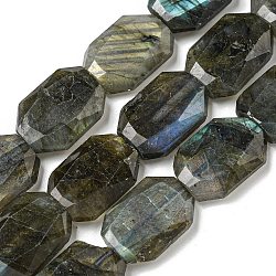 Natural Labradorite Beads Strands, Hexagon, Faceted, 12x17x5mm, Hole: 1mm, about 24pcs/strand, 15.55''(39.5cm)(G-P544-B08-01)