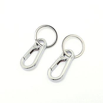 Alloy Push Gate Snap Keychain Clasp Findings, with Iron Split Key Rings, Platinum, 71mm, Ring: 30x2mm, Inner Size: 26mm, Clasp: 47x22x5mm