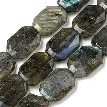 Natural Labradorite Beads Strands, Hexagon, Faceted, 12x17x5mm, Hole: 1mm, about 24pcs/strand, 15.55''(39.5cm)