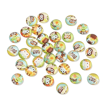 Cartoon Glass Cabochons, Half Round/Dome with Owl Pattern, Mixed Color, 12x4.5mm