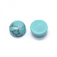 Synthetic Turquoise Cabochons(G-O175-23-21)-2