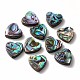 Abalone Shell/Paua Shell Beads(SHEL-T005-01)-1