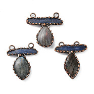 Natural Kyanite & Labradorite Big Pendants, Red Copper Tone Brass Charms, Mixed Shapes, 55~59x48~57x8~10mm, Hole: 6mm(G-A227-04R)