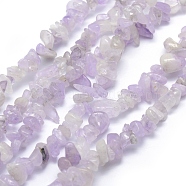 Natural Amethyst Beads Strands, Chip, 5~8mm, Hole: 1mm, about 33 inch(84cm)(G-P332-40)