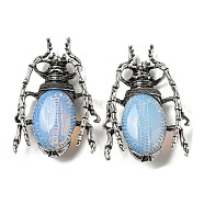 Dual-use Items Alloy Brooch, with Opalite, Spider, 49.5x35.5x15~16mm, Hole: 4x2.5mm(JEWB-C026-05E-AS)