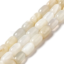 Natural White Moonstone Beads Strands, Column, 9x6mm, Hole: 0.9~1mm, about 20~21pcs/strand, 7.09~7.48 inch(18~19cm)(G-G980-17)