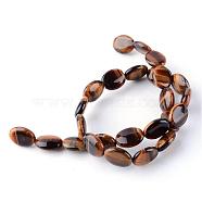 Natural Tiger Eye Bead Strands, Oval, 16x12x5~6mm, Hole: 1mm, about 25pcs/strand, 15.7 inch(G-R356-61)