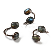 Oval Shape Natural Labradorite Open Cuff Rings, Red Copper Tin Finger Ring, Cadmium Free & Lead Free, Inner Diameter: 19.2~19.7mm(RJEW-M157-16R)