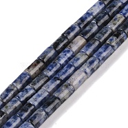 Natural Blue Spot Jasper Beads Strands, Column, 7.5~8.5x5~6mm, Hole: 1mm, about 45~46pcs/strand, 14.69~15.04 inch(37.3~38.2cm)(G-C128-A27-01)