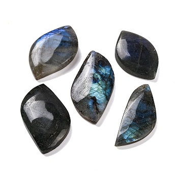 Natural Labradorite Cabochons, Leaf, 28.5~50x16~29x5~9mm, about 48pcs/500g