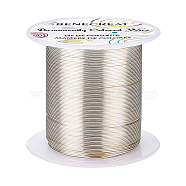 Round Copper Wire, for Wire Wrapped Jewelry Making, Silver, 22 Gauge, 0.6mm, about 164.04 Feet(50m)/roll(CWIR-BC0006-02A-S)