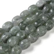 Natural Malaysia Jade Beads Strands, Faceted, Oval, Dyed and Heated, Dark Slate Gray, 8.5~11.5x7~8x6.5~8mm, Hole: 1.5mm, about 37~38pcs/strand, 14.76''~15.55''(37.5~39.5cm)(G-I283-H11-01)
