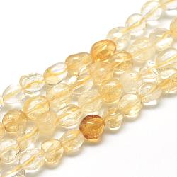 Natural Citrine Beads Strands, Oval, 8~15x7~12x4~12mm, Hole: 1mm, about 30~45pcs/strand, 15.7 inch(G-R445-8x10-16)