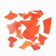 COE 90 Fusible Confetti Glass Chips, for DIY Creative Fused Glass Art Pieces, Tomato, 5.5~62.5x2.5~35x0.1~1.5mm(DIY-G018-01J)