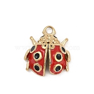 304 Stainless Steel Enamel Charms, Ladybug Charms, Real 18K Gold Plated, Ion Plating(IP), Red, 13x11x4.5mm, Hole: 1.5mm(STAS-I325-050G)