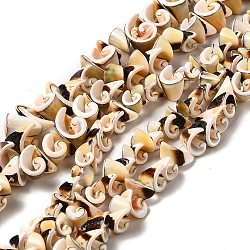 Natural Sea Shell Beads Strands, Spiral Beads, Light Khaki, 7~14.5x5~12.5x3.5~13mm, Hole: 1.2mm, about 64~85pcs/strand, 15.75~15.94''(40~40.5cm)(BSHE-E026-14)