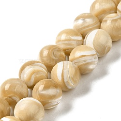 Natural Trochus Shell Beads Strands, Round, BurlyWood, 12~12.5mm, Hole: 1mm, about 33pcs/strand, 15.67''(39.8cm)(SHEL-K006-18C)