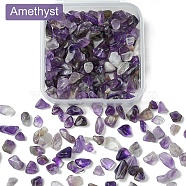 50G Natural Amethyst Chip Beads, No Hole/Undrilled, 3~9x1~4mm(G-YW0001-61)