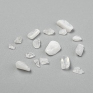 Natural Moonstone Chip Beads, No Hole/Undrilled, 3~9x1~4mm(X-G-L453-10A)