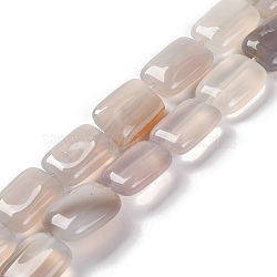 Natural White Agate Beads Strands, Rectangle, 18x13.5x5.5mm, Hole: 1.2mm, about 22pcs/strand, 15.75 inch(40cm)(G-T047-B17-01)