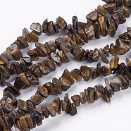 Natural Tiger Eye Stone Bead Strands, Chip, 4~10x4~6x2~4mm, Hole: 1mm, about 210pcs/strand, 35.4 inch(G-R192-19)