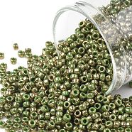 TOHO Round Seed Beads, Japanese Seed Beads, (1702) Gilded Marble Green, 11/0, 2.2mm, Hole: 0.8mm, about 5555pcs/50g(SEED-XTR11-1702)