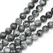 Natural Larvikite Beads Strands, Round, 12~13mm, Hole: 1mm, about 32pcs/strand, 15.7 inch(G-R345-12mm-33)