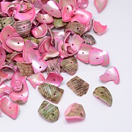 Dyed Natural Spiral Shell Chips Beads, Shell Shards, Pink, 10~20x6~15mm, Hole: 1mm, about 700pcs/500g(SHEL-A003-B05)