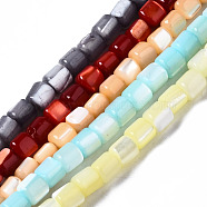 Natural Trochid Shell/Trochus Shell Beads Strands, Column, Mixed Color, 3.5x3.5mm, Hole: 1mm, about 111~117pcs/strand, 15.35 inch~15.94 inch(39~40.5cm)(SSHEL-N034-77)