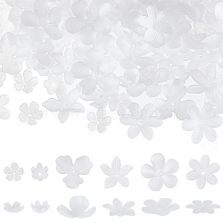 HOBBIESAY 300Pcs 6 Style Transparent Acrylic Bead Caps, Frosted, Flower, White, 14~28x13~28.5x4~7mm, Hole: 1.4~2.2mm, 50pcs/style(OACR-HY0001-11)