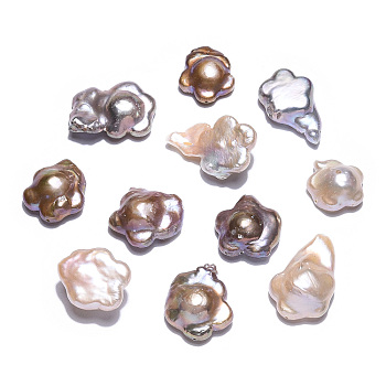 Baroque Natural Nucleated Keshi Pearl Beads, Cultured Freshwater Pearl, Flower, Rosy Brown, 15.5~32.5x15~18x6.5~10mm, Hole: 0.8mm