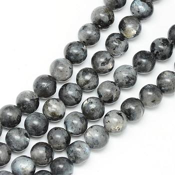 Natural Larvikite Beads Strands, Round, 12~13mm, Hole: 1mm, about 32pcs/strand, 15.7 inch