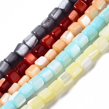 Natural Trochid Shell/Trochus Shell Beads Strands, Column, Mixed Color, 3.5x3.5mm, Hole: 1mm, about 111~117pcs/strand, 15.35 inch~15.94 inch(39~40.5cm)