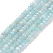 Natural Amazonite Beads Strands, Faceted, Rondelle, 3x2mm, Hole: 0.3mm, about 188pcs/strand, 15.55 inch(39.5cm)(G-E194-02B)