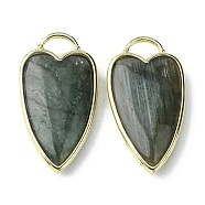 Natural Labradorite Pendants, Faceted Heart Charms, with Rack Plating Light Gold Plated Brass Edge, 34.5x18x7mm, Hole: 7x5mm(G-O204-02F)