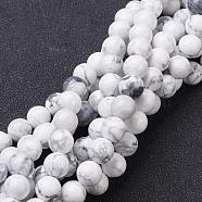 Gemstone Beads Strands, Natural Howlite Round Beads, White, about 14mm in diameter, hole: 1mm, about 28pcs/strand, 15.5 inch(GSR14mmC015)