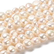 Natural Cultured Freshwater Pearl Beads Strands, Two Side Polished, Grade 3A+, Seashell Color, 8~9x8.5~9.5x6~7mm, Hole: 0.6mm, about 41~42pcs/strand, 13.58''(34.5cm)(PEAR-E017-21)