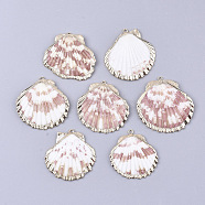 Electroplate Sea Shell Pendants, with Iron Findings, Light Gold, Colorful, 30~45x30~45x3~7mm, Hole: 1.0mm(SSHEL-S258-69)