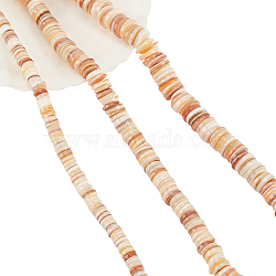 3 Strands 3 Styles Natural Freshwater Shell Beads Strands, Heishi Beads, Flat Round/Disc, BurlyWood, 6~10x0.5~3mm, Hole: 1mm, 1 strand/style(SHEL-NB0001-48)