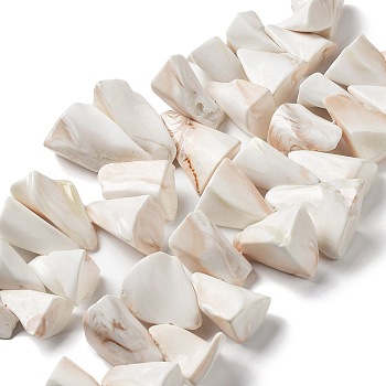 Natural Shell Beads Strands, Nuggets, Seashell Color, 25~41.5x19~30x13~21mm, Hole: 0.9~1.2mm, about 18~19pcs/strand, 8.03''~8.46''(20.4~21.5cm)