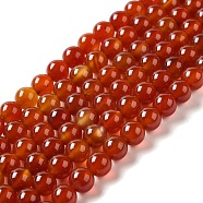 Natural Agate Beads Strands, Dyed, Round, Red, 8mm, Hole: 1mm, about 52pcs/strand, 15.5 inch(X-G-G390-8mm-03)